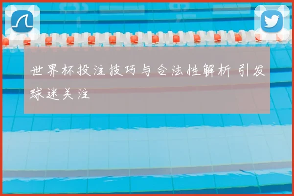 世界杯投注技巧与合法性解析 引发球迷关注