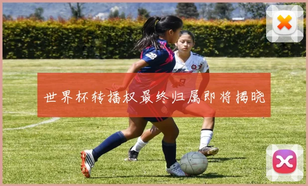 世界杯转播权最终归属即将揭晓
