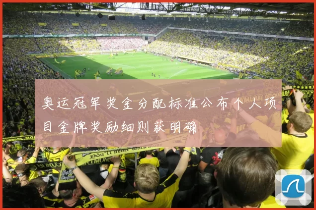 奥运冠军奖金分配标准公布个人项目金牌奖励细则获明确