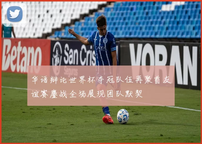 华语辩论世界杯夺冠队伍再聚首友谊赛鏖战全场展现团队默契