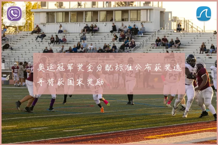 奥运冠军奖金分配标准公布获奖选手将获国家奖励